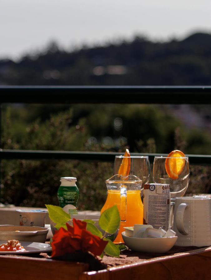 Palace Hotel E Spa Monte Rio Термаш-де-Сан-Педру-ду-Сул Экстерьер фото
